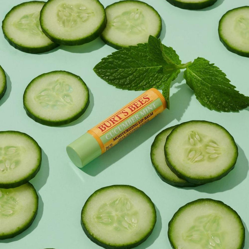 Burt's Bees Lip Balm Cucumber Mint 4.25g