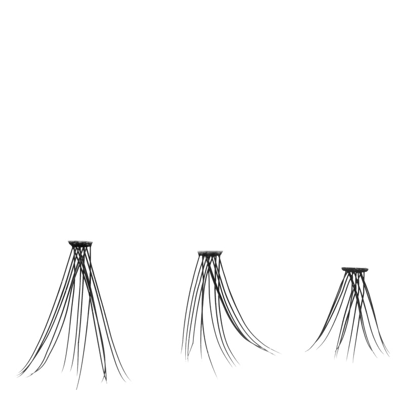 20028438-2
