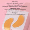 MCoBeauty Age Resist Active Gold Hydrogel Night Repair Eye Masks 5pr