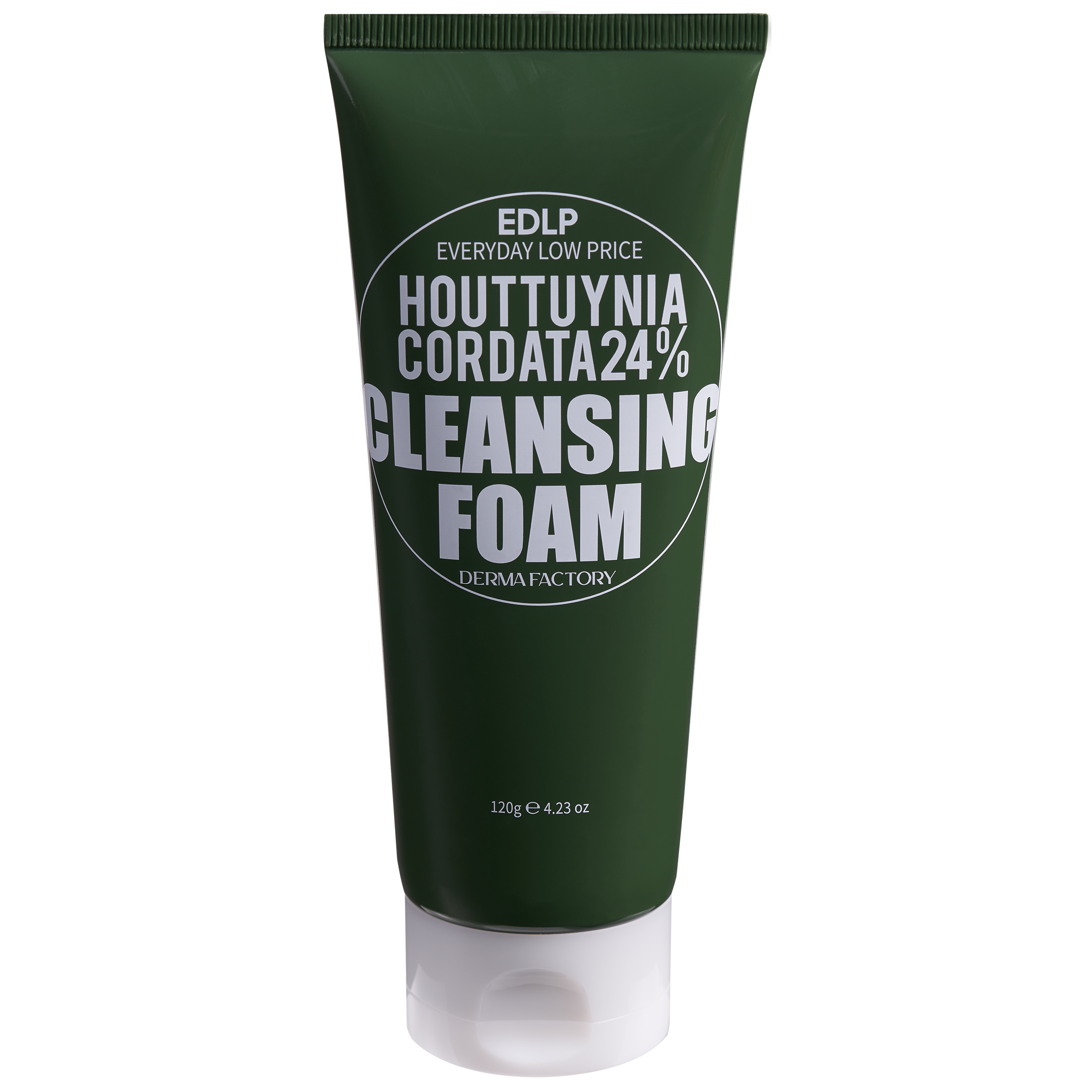Derma Factory EDLP Houttuynia Cordata 24% Cleansing Foam 120g – Unichem ...