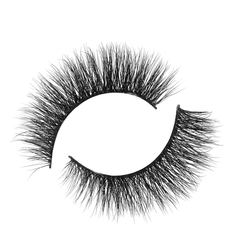 20039230-3